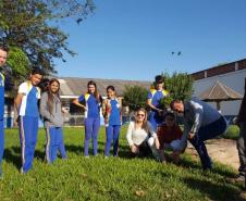 Programa Paraná Mais Verde