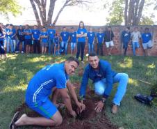 Programa Paraná Mais Verde