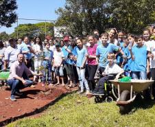 Programa Paraná Mais Verde