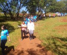 Programa Paraná Mais Verde