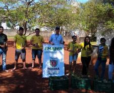 Programa Paraná Mais Verde