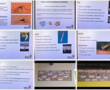 NRE de Goioerê - Conscientização sobre o perigo da dengue