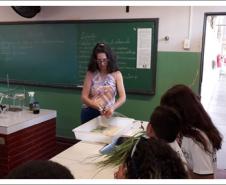 Tutora Liz Kazmirczak Pereira registra atividades desenvolvidas pelo Colégio Estadual Carlos Gomes de Ubiratã