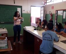 Tutora Liz Kazmirczak Pereira registra atividades desenvolvidas pelo Colégio Estadual Carlos Gomes de Ubiratã