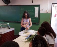 Tutora Liz Kazmirczak Pereira registra atividades desenvolvidas pelo Colégio Estadual Carlos Gomes de Ubiratã