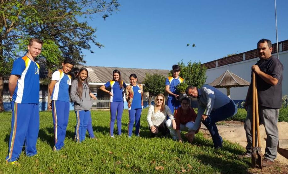 Programa Paraná Mais Verde Programa Paraná Mais Verde