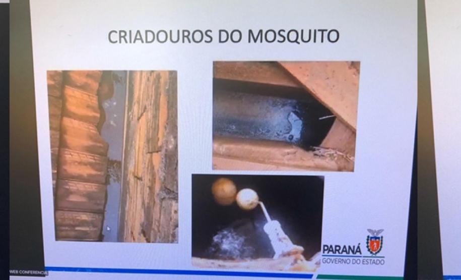 NRE de Goioerê - Conscientização sobre o perigo da dengue
