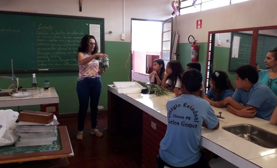 Tutora Liz Kazmirczak Pereira registra atividades desenvolvidas pelo Colégio Estadual Carlos Gomes de Ubiratã