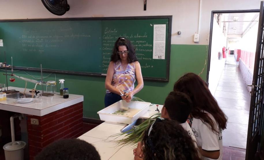 Tutora Liz Kazmirczak Pereira registra atividades desenvolvidas pelo Colégio Estadual Carlos Gomes de Ubiratã