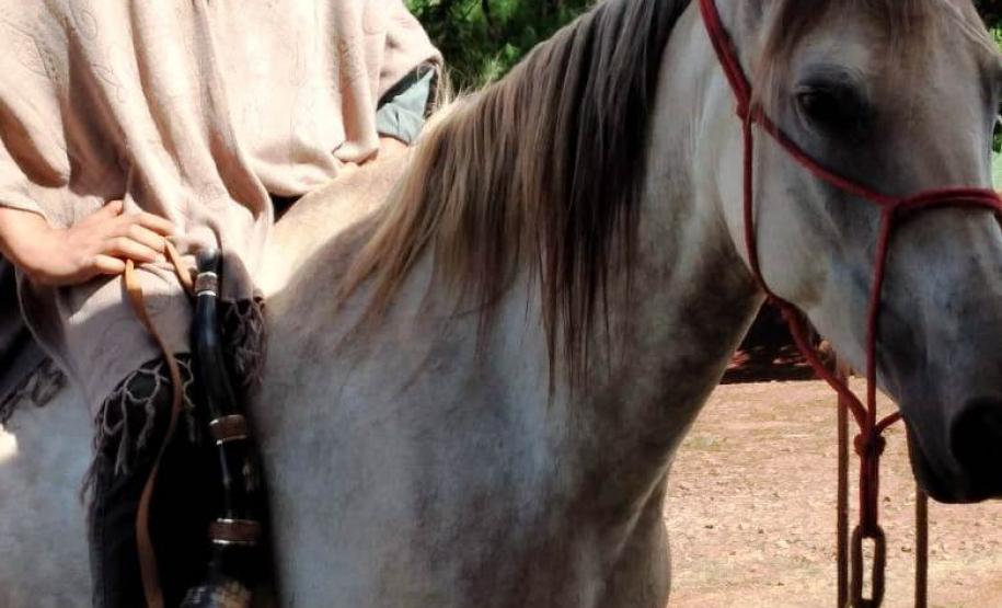 Escola Estadual do Campos São João - Trabalhos da Semana do Conhecimento que se destacou